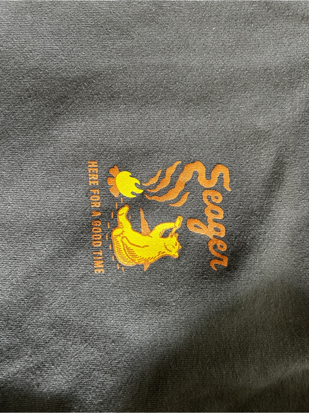 Seager Charcoal Gray Pullover Graphic Hoodie - Picture 4 of 5